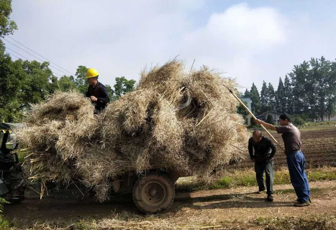 “堵疏”并舉，抓實(shí)露天秸稈禁燒監控