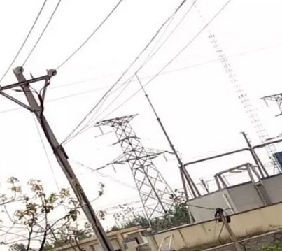 看看這些電力人的春季巡檢！