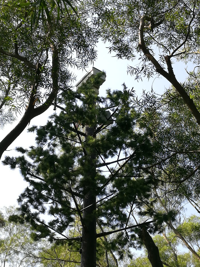 福州馬尾區森林防火預警系統工程