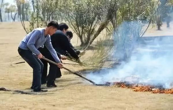 鳥(niǎo)槍換炮式的森林防火裝備升級 記錄森林防火發(fā)展軌跡