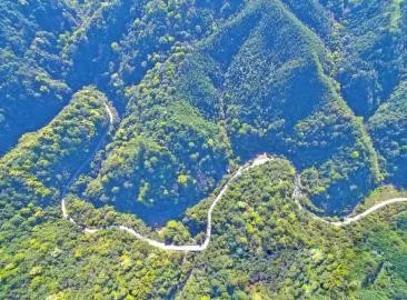 智能化，讓森林防火監控管護更“智慧”