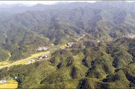 綠色通山三部曲—— 通山開(kāi)展林業(yè)建設走筆