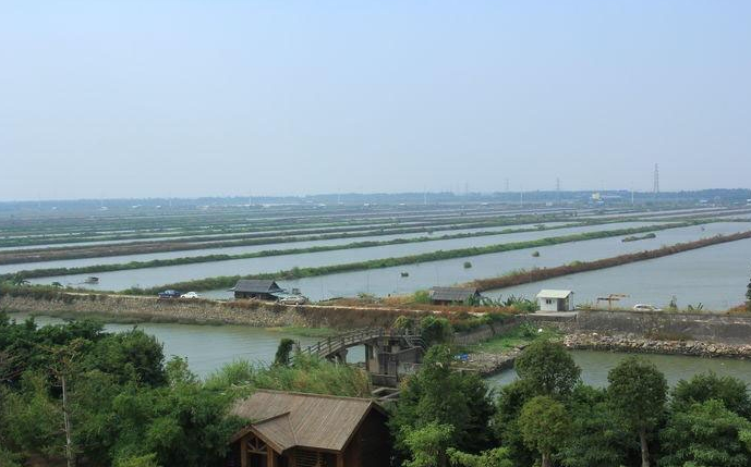 魚(yú)塘雙光譜云臺攝像機