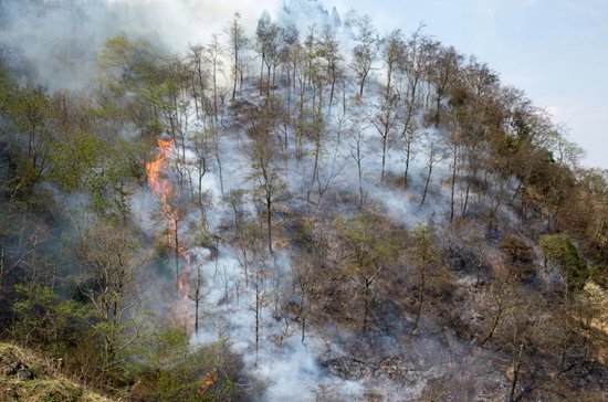 ?保護綠水青山是我們每個(gè)公民的責任，森林防火監控預警云臺是強有力的保障。