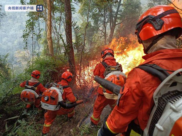 ?應對持續高溫“燒烤”天氣，林草防火視頻遠距離監控設備供不應求