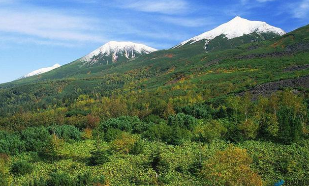 輸電線(xiàn)路防山火監控系統
